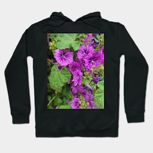 gift for birthday happy birthday beautiful flower Hoodie